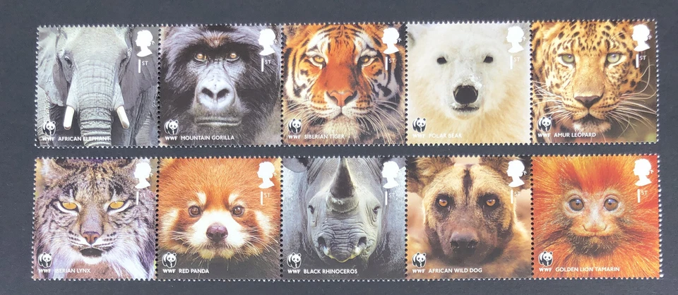GB 2011 MNH WWF Animales Salvaguardando el Mundo Natural Conjunto de Estampillas Como Nuevo Foto 1 de 1