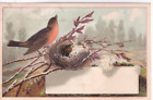 1800s Victorian Trade Card -Beautiful Bird Birds Note Card -Artist Dewhitney