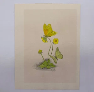 Vintage Don Kent Flowers And Butterflies Print 1976 - Picture 1 of 5