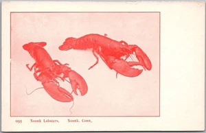Postal vintage de 1900 NOANK, Connecticut "Noank Lobsters" parte posterior indivisa SIN USAR - Imagen 1 de 2
