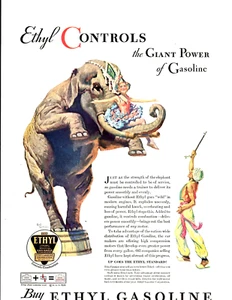 1932 Druckanzeige Ethyl Controls Benzin Elefant Karl Godwin Zirkustrainer Akt - Bild 1 von 1