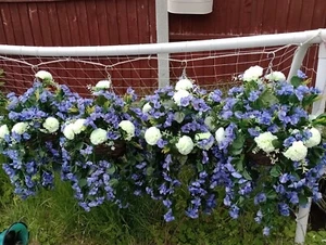 Set Of 2 Artificial Hanging Basket Flowers Blue/White - Imagen 1 de 6