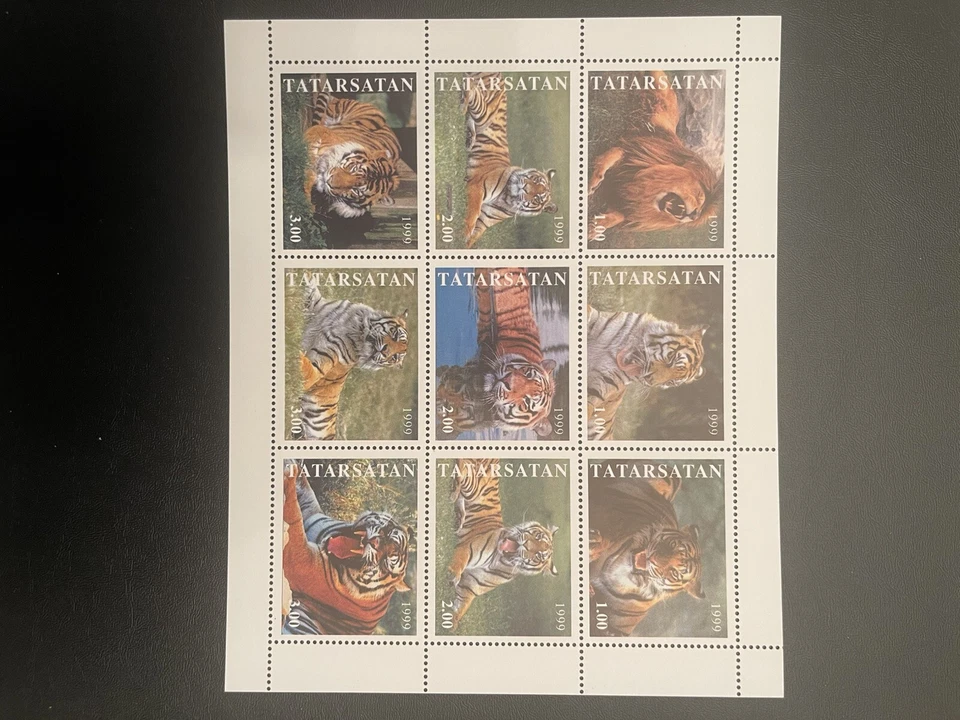 Tajikistan Mini-Sheet MNH Lions Tigers Asian Country. Scarce Free Shipping! - Image 1 of 1