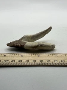 BASILOSAURUS TOOTH FOSSIL Late Eocene 40 Mi Yrs Old Artiodactyl 3.25” SC 311 - Picture 1 of 4
