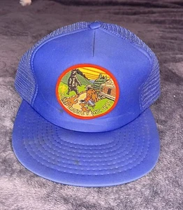 Vtg Boy Scout Camp Rainey Mountain 1991 NE Georgia Council Cap Trucker Snapback - Picture 1 of 6