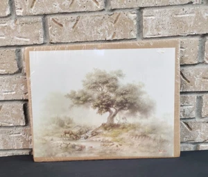 Windberg 1970 versiegelter Druck unheimlich nebliges Reh Reh trinkt Bach Natur 16 x 12 - Bild 1 von 4