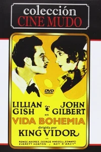 VIDA BOHEMIA (DVD) - Imagen 1 de 1