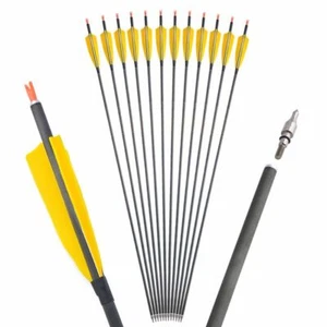 12pcs Carbon Arrows SP400 Target Practice Compound Recurve Bow Archery Hunting - Picture 1 of 26