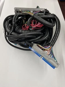 LS Swap Stand Alone Harness T56 Non-Electronic Trans For 1997-2006 GM DBC 5.3L ? - Bild 1 von 10