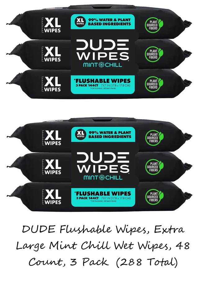 Dude Wipes Extra Large Mint Chill Flushable Wipes 6 - 48 Wipe Packs - Image 1 of 1