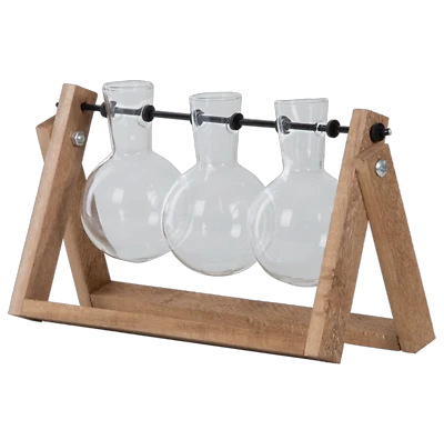 Steckling Vasen zum Aufhängen Holz Gestell Glas Tisch Aufzucht Ständer Blumen - Bild 1 von 3