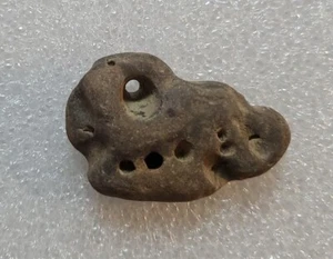 Original Surf Tumbled Beach HOLEY Stein Felsenform wie GATOR DINOSAURIERKOPF - Bild 1 von 3