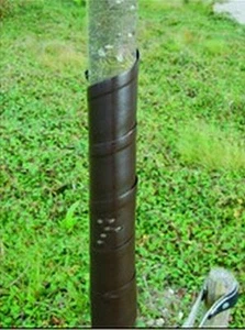 Baumspirale 5 Stck., Baum-Manschetten, Wildschutz, Wildverbiß, Baumschutz - Bild 1 von 3