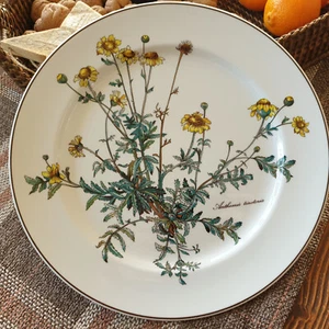 V&B BOTANICA Speiseteller ohne Wurzel Ø 26 cm sehr gut VILLEROY&BOCH mehr - Bild 1 von 3