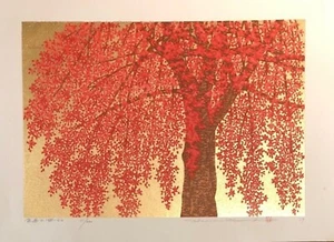 Hajime Namiki Bloque de Madera Estampado Cereza Llorón 24 Limitado a 200 Japón 34 x 46 cm - Imagen 1 de 24
