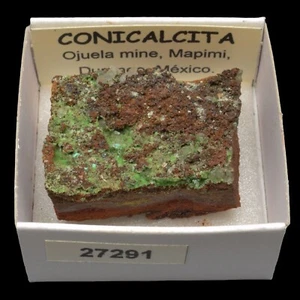 CONICALCITA (Mina Ojuela, Mapimi, Mexico) #27291 / Conichalcite - Foto 1 di 1