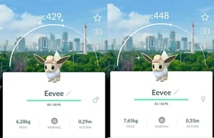 Pokémon Go Trade Shiny Explorer Eevee Hat Background Jakarta Indonesia - Picture 1 of 1
