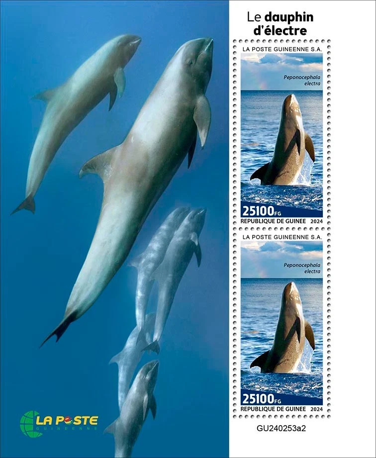 Марки с дынной головой киты 2024 Гвинея как новые без наклеек и следов - Изображение 1 из 1