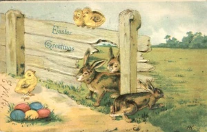 Cartolina Auguri Pasqua Pulcini Conigli al Recinto per Uova in rilievo 1907 UDB - Foto 1 di 2
