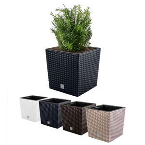 Blumenkübel Blumentöpf Rattan-Optik 4 farben viele grosse inkl Einsatz - Bild 1 von 8