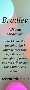 Bradley "Broad Meadow" Keepsake Name Meaning Bookmark with Bible Verse & Tassel - Picture 1 of 2