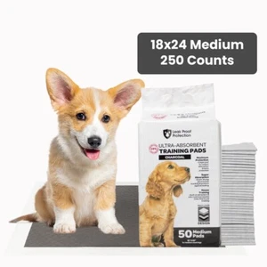 250 PCS Charcoal Puppy Pads-M-Ultra-Absorbent Pet Training Pads for Dogs-18x24" - Picture 1 of 18
