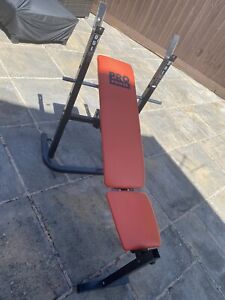 Pro Power Adjustable Weights Bench