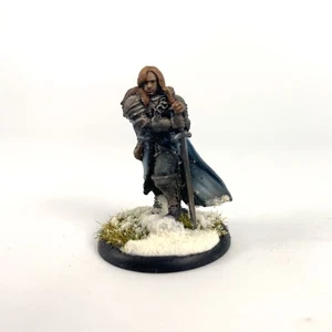 x1 Robb Stark Plastique Edge Game of Thrones | P-00J0O - Picture 1 of 2