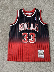 Boys Jersey NBA #33 Scottie Pippen, Chicago Bulls 1995-96 Size L 14-16 Years - Picture 1 of 9