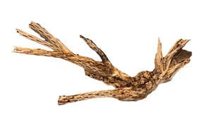 21” X 10” Cholla Wood Root | Fish Hide | Geckos | Shrimp | Aquarium  - Picture 1 of 2