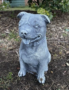 Estatua conmemorativa de perro Staffy Staffordshire jardín de hormigón hecha en Australia - Imagen 1 de 7