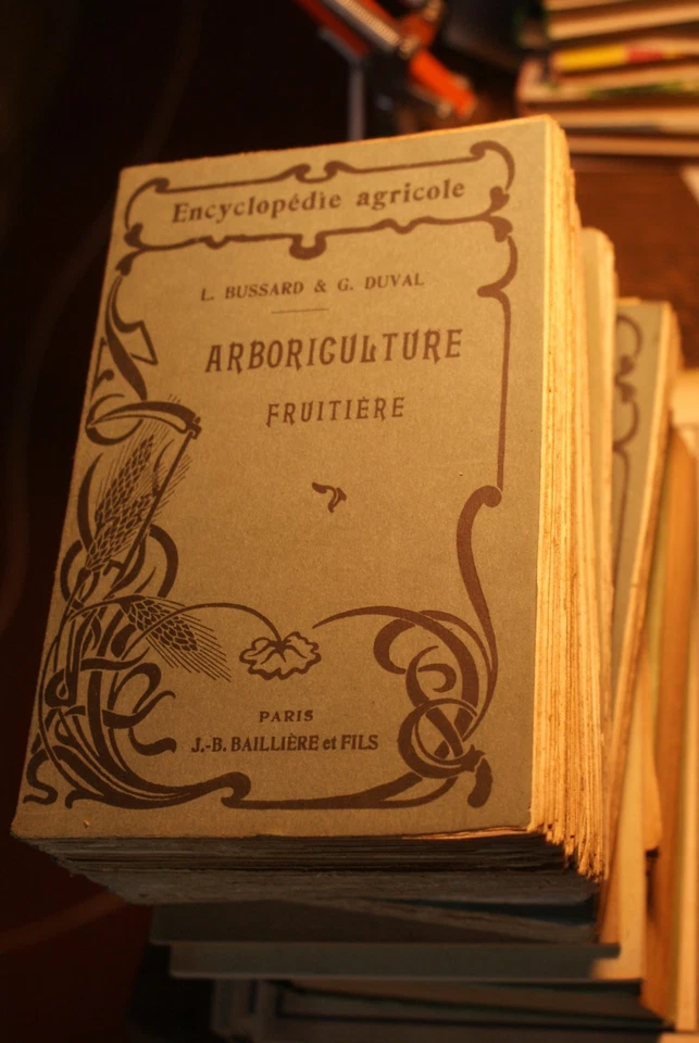 encyclopedie agricole  bussard duval arboriculture / 1920 - Photo 1/1