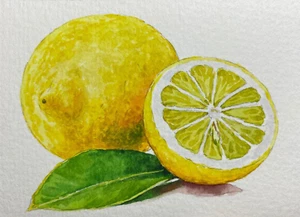 Watercolor Painting Seascape Lemon ACEO Art No.337 - Picture 1 of 2