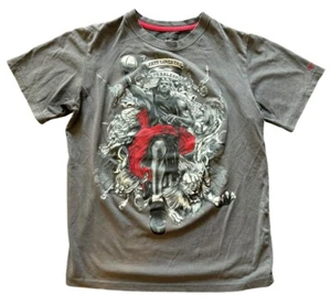Nike Dri-Fit Lebron James Fate Loves the Fearless Lion Youth Boys T-Shirt Medium - Picture 1 of 5