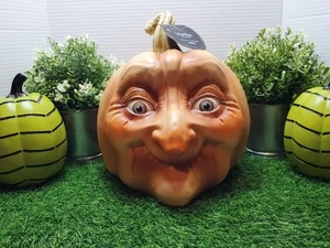 Martha Stewart Ugly Pumpkin Face " Pepper " 🎃 Exclusive 2025 ~ Neu - Bild 1 von 12