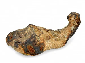 131.34  gram CANYON DIABLO meteorite - IAB Iron Meteorite  - TOP METEORITE - Picture 1 of 8