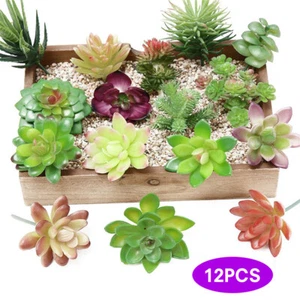 12X Mixed Artificial Succulents Plant Fake Plants Garden Home Office Decor Decal - Picture 1 of 8