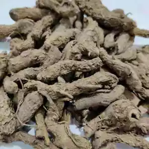 Cúrcuma negra pura Kali Haldi Cúrcuma Cesia Narkachur raíces crudas enteras secas 50 g - Imagen 1 de 4
