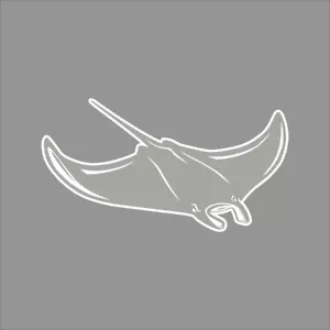Tampa Bay Rays #4 MLB Team Logo 1 Color Vinyl Decal Sticker Car Window Wall - Picture 1 of 7