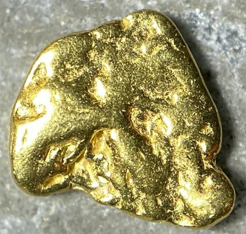 PURE GOLD NUGGET ALASKA YUKON BC NATURAL SMALL ROCK HAND PICKED RAW FINE 22k .3g Cover