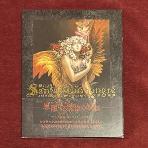 Santa Lilio Sangre Hardcover Art Book 2010 Kojima Ayami Akai Yuri 1. Auflage! - Bild 1 von 2