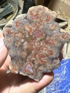 Agatized Utah Barite nodule **hxtled end cut. - Picture 1 of 8