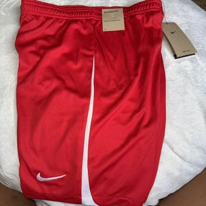 New Nike Boys' Dri-FIT Shorts Red Size L Lineless - Picture 1 of 4