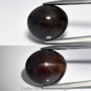 ★★ RARE !! IOLITE VIOLETTE OEIL DE CHAT DE NAMIBIE : 11,08 CARATS ★★ p496.129t - Photo 1/1