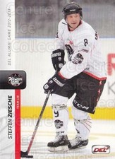 2013-14 German DEL Inside #30 Steffen Ziesche