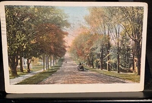 Postal Paisajes en Diseño #797 PUBLICADA EN Nueva Jersey 1938 rescate de mascotas divididas - Imagen 1 de 3