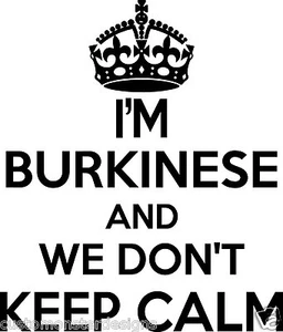 Burkinese Wall Sticker.. 20 inches Tall We Don't Keep Calm Vinyl Wall Art Decor - Picture 1 of 2