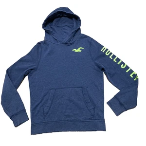 Hollister Vintage Y2K Graphic Sweater Erwachsene L blau grau grün Capsule Hoodie - Bild 1 von 24