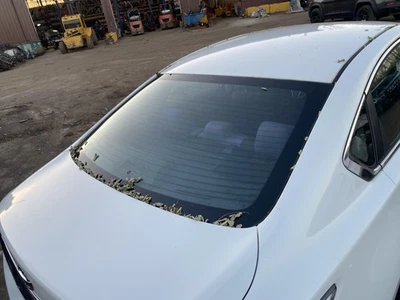 Used Rear Back Glass fits: 2014 Nissan Altima Sdn w/o diversity antenna Rear Gra - Image 1 of 4