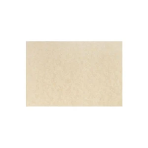JAM Paper Blank Flat Note Cards A7 Size 5 1/8 x 7 Natural Parchment 25/Pack - Picture 1 of 2